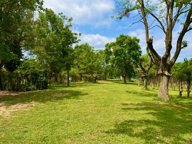 Camping Calme en Ardèche